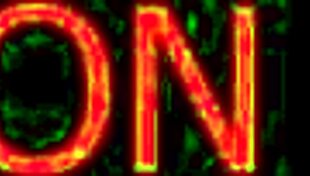 Hey, wanna see Cameron Brasil with a hot blonde and brunette trio?