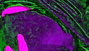 quick doggystyle session with mature cougar 😈