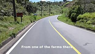 Damn! Sex-Crazed Latina Guerrillas Dominate Captured Male with Big Cock Action!