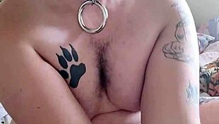 fat gay dog jerks off to relax