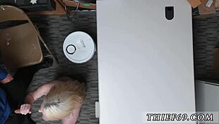 you attempted theft from border patrol?