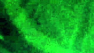 quarantine fun with an oily horny brownie