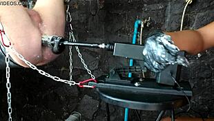 26 11 Bbd Sex Machine