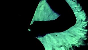 Vintage Taboo Pussy And Pooch!