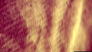 riley jensen rides sybian solo 😏