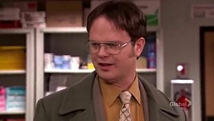 Hey, ever been to an office like Sans where crazy stuff happens?