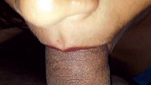 My stepsister Susy gives homemade blowjobs and swallows cum like a pro latina amateur.