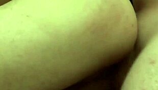 Detailed Collection Of Gay Porn Videos