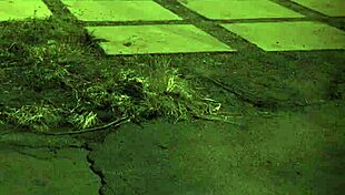 rough outdoor bondage sex with bound teen 18+ domination first time