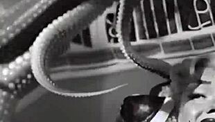 let's skinny dip in the lake and finger each other.