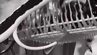 let's skinny dip in the lake and finger each other.