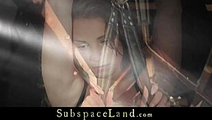 Hogtied Newbie's Pussy Masturbated in Closeup Bondage Scene