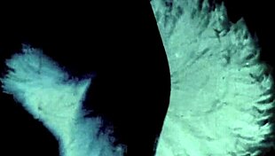 vintage dark london threesomes in swinging sixties shadows. hairy pussy group action feels so raw!