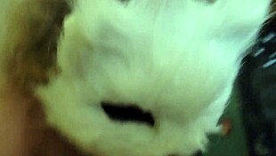 quick closet sex turns intense with doggystyle and cum in mouth