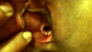 Amateurs share homemade creampie moments in high definition