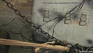 bound blonde sub gets whipped rough in lingerie