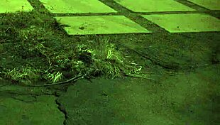 Check out this extreme bdsm compilation with teen 18+ domination scenes