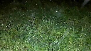 We Hid From The Rain In An Abandoned Place To Have Sex With Dirty Talk - Lesbian Illusion Girls