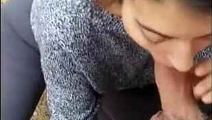 Bold Public Compilation Of Amateur Babes Flashing Tits And Giving Outdoor Blowjobs