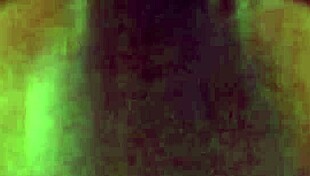 pussy and throat get fucked close up by milf and teen amateurs