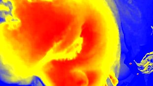 thermal homemade session