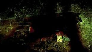 feeling nostalgic with these vintage erotic drawings