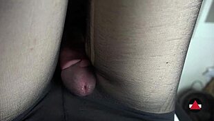 pov thigh fucking in pantyhose explodes with cum!