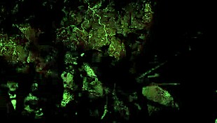 Vintage erotic comic drawing from antique anime collection