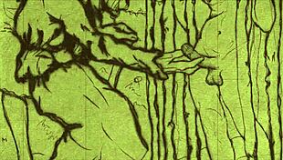 Vintage Erotic Animation From Antique Retro Anime