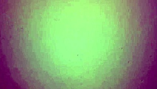 my colombian milf gives a rich blowjob with her big tits and ass spreading. homemade amateur fun.