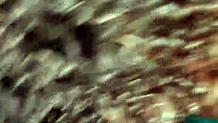 Fat latina amateur swallows gay cumshot from huge cock in explicit cumshot scene with interracial elements and amateur passion