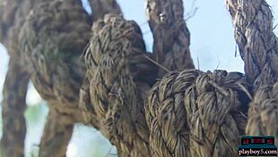 Curvy blonde teen Jazlyn Ray poses, undressing with big natural tits for Playboy