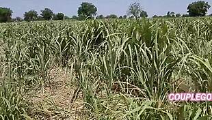 Wife Gets Licked And Fucked With Big Cock In Field