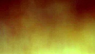 ann sucking that big black cock like a pro