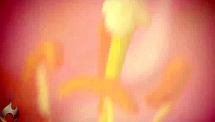 secret afternoon sex with goth milf diana grace