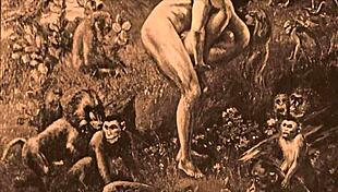 Vintage Erotic Drawings Show Raw Sensual Sketches