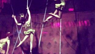 Vintage erotic art in anime style