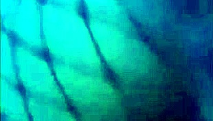 Compilation Of Teen Transgender Girls Engaging In Their Activities.