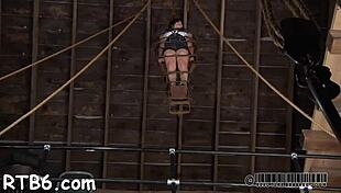 lovely babe out of cage for hardcore torment 😈💥