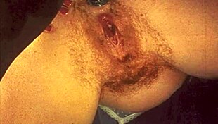 Dark Lantern Entertainment Presents Vintage Interracial Erotic Confessions