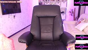 Adorable kitten in costume playfully interacts with large toy at home