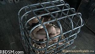 Hey, check out this beautiful femdom clamping her tits while fucking hard 😈