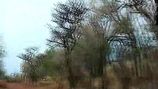 Hot Sex At My African Safari Trip