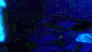 babysitter roleplay painting bodies getting horny in public asian homemade