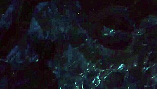 lust for darkness gameplay part two with mature group scenes