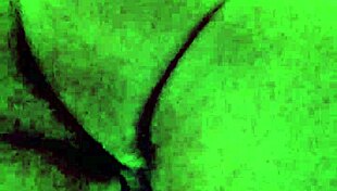 Unlock the Secrets of Briu in an Unexpected Journey