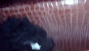 Angelg and kuzz explore fat pussy with big black cock