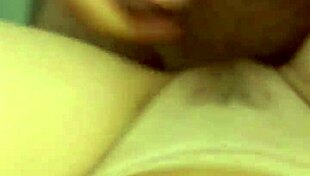 alineflavio - update 151 - 1 5118348591483585872 - sep 11 2024