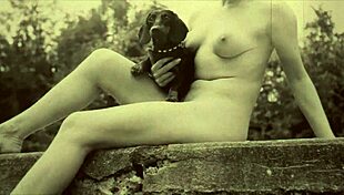 I’m obsessed with beauty and beast from dark lantern