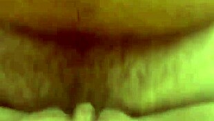 alineflavio - update 151 - 1 5118348591483585872 - sep 11 2024